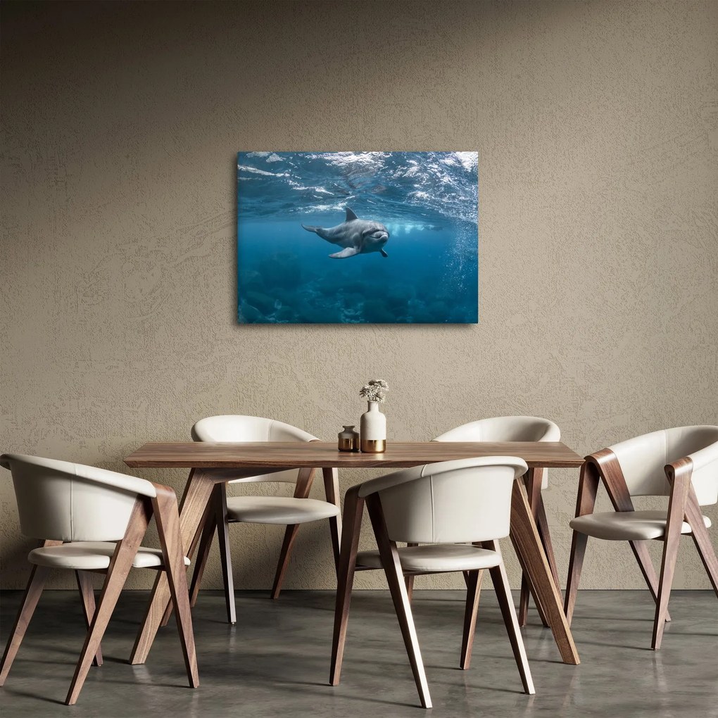 Obraz - Delfin pod wodą (70x50 cm)