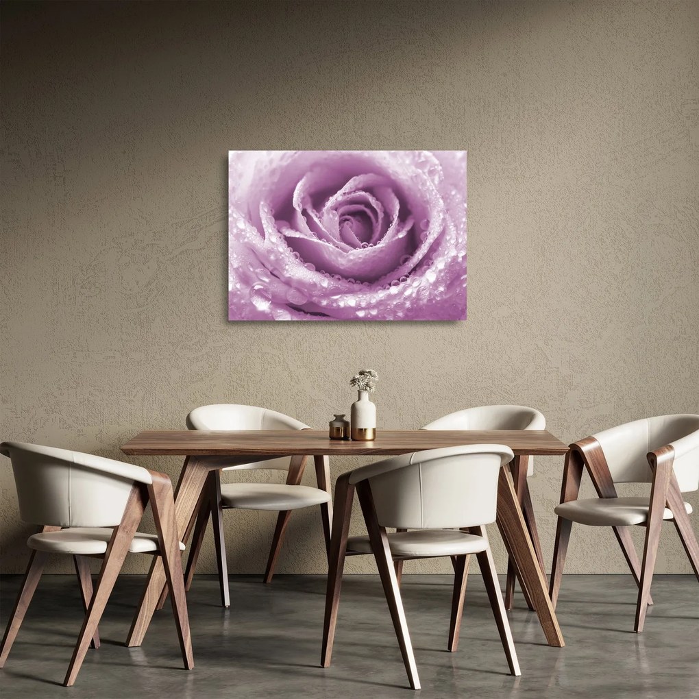 Obraz na szkle szczegółu kwiatu róży (70x50 cm)