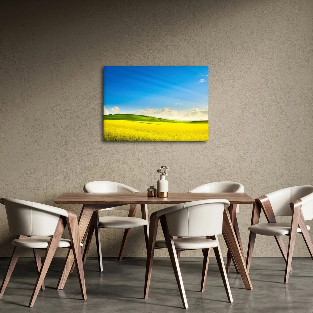 Obraz - Wiosenne niebo (70x50 cm)