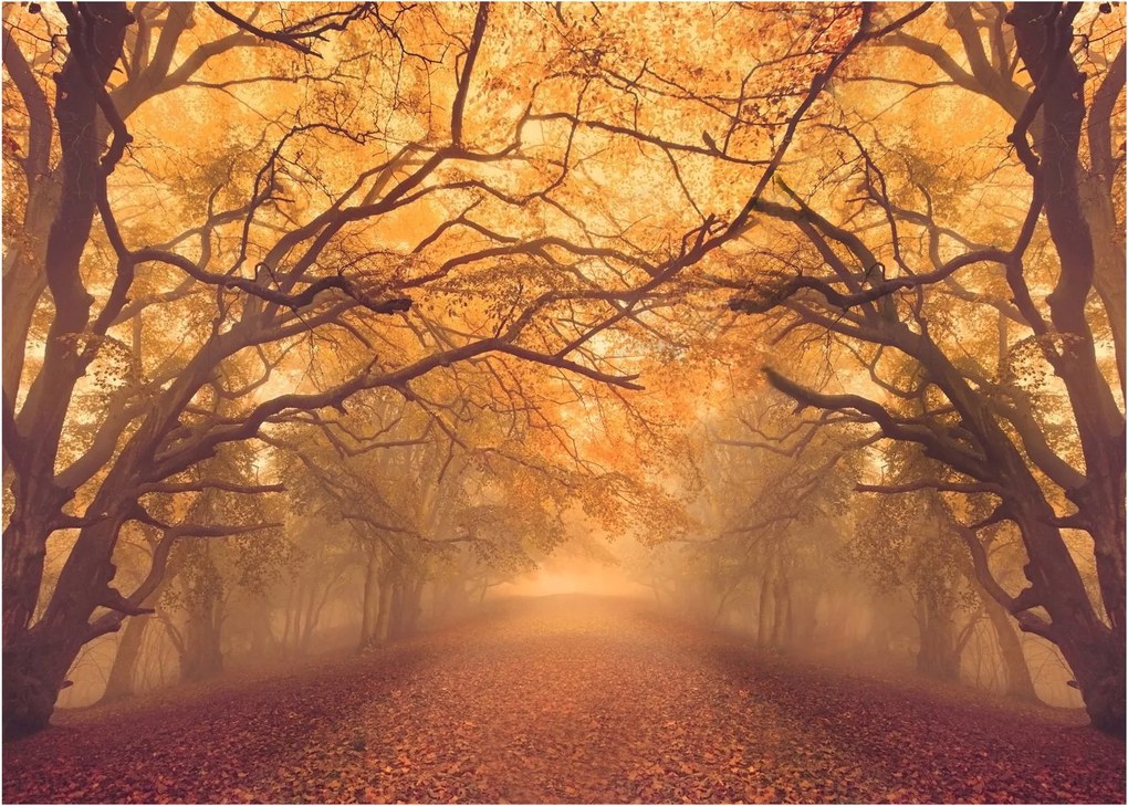 Obraz na szkle drogi w jesiennym krajobrazie (70x50 cm)