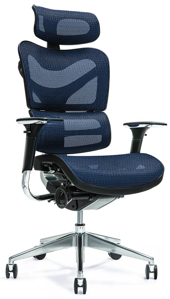 Fotel ergonomiczny biurowy wygodny Ergo 700, kolory do wyboru: czarny, granatowy, czerwony, zielony, szary. Regulowane oparcie, zagłówek i siedzisko. Najlepszy jeśli chodzi o nowoczesne fotele biurowe.