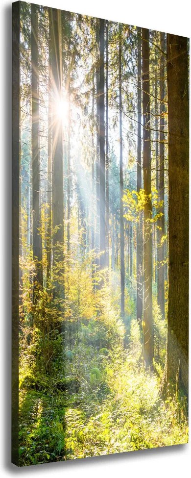 Foto obraz canvas pionowy Słońce w lesie