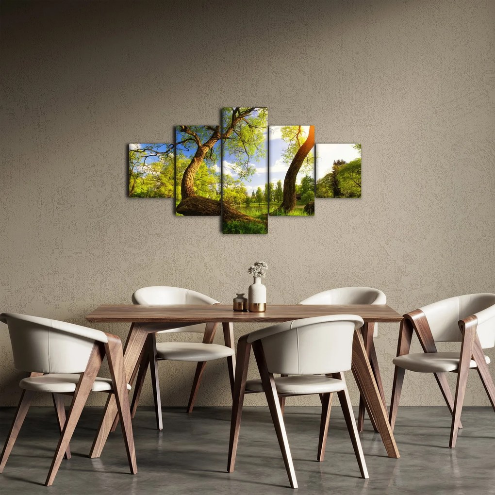 Obraz wiosennej łąki (125x70 cm)