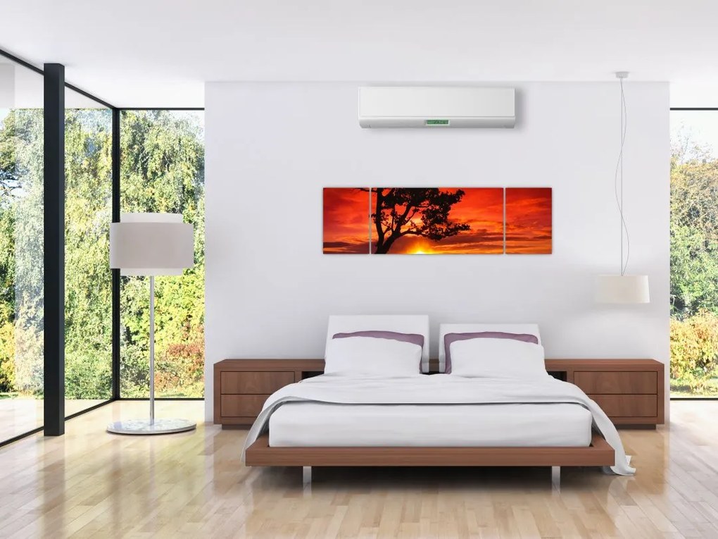 Obraz - Zachód słońca (170x50 cm)