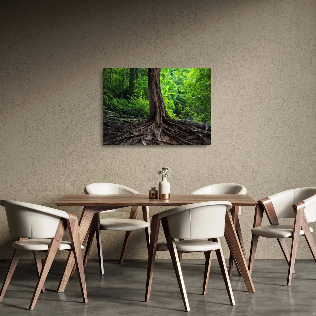 Obraz na szkle - Stare drzewo z korzeniami (70x50 cm)