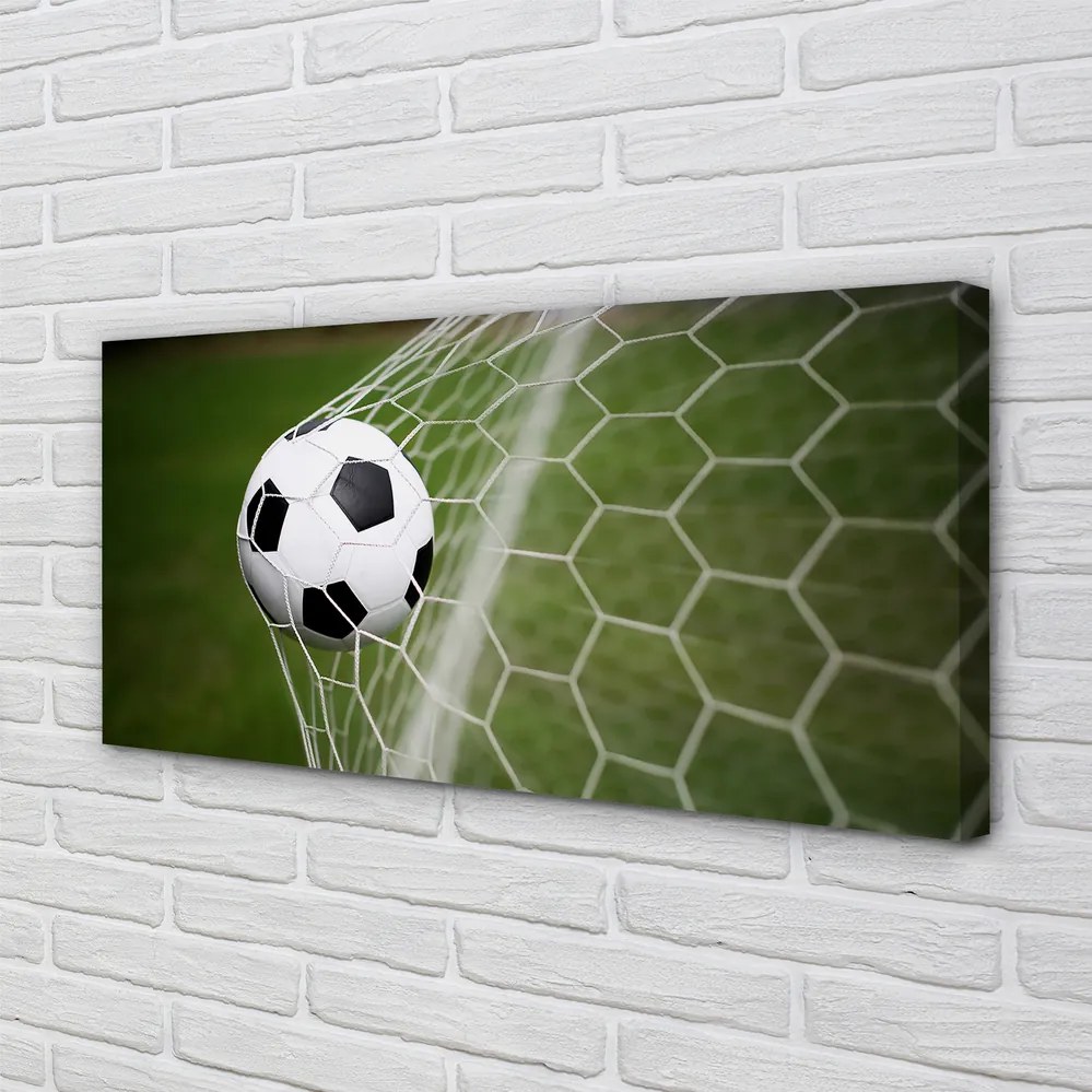 Obraz na płótnie Klasyczna Piłka Na Trawie