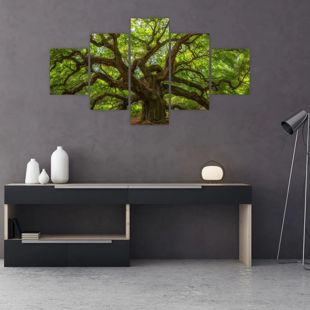 Obraz - Zielone drzewo (125x70 cm)