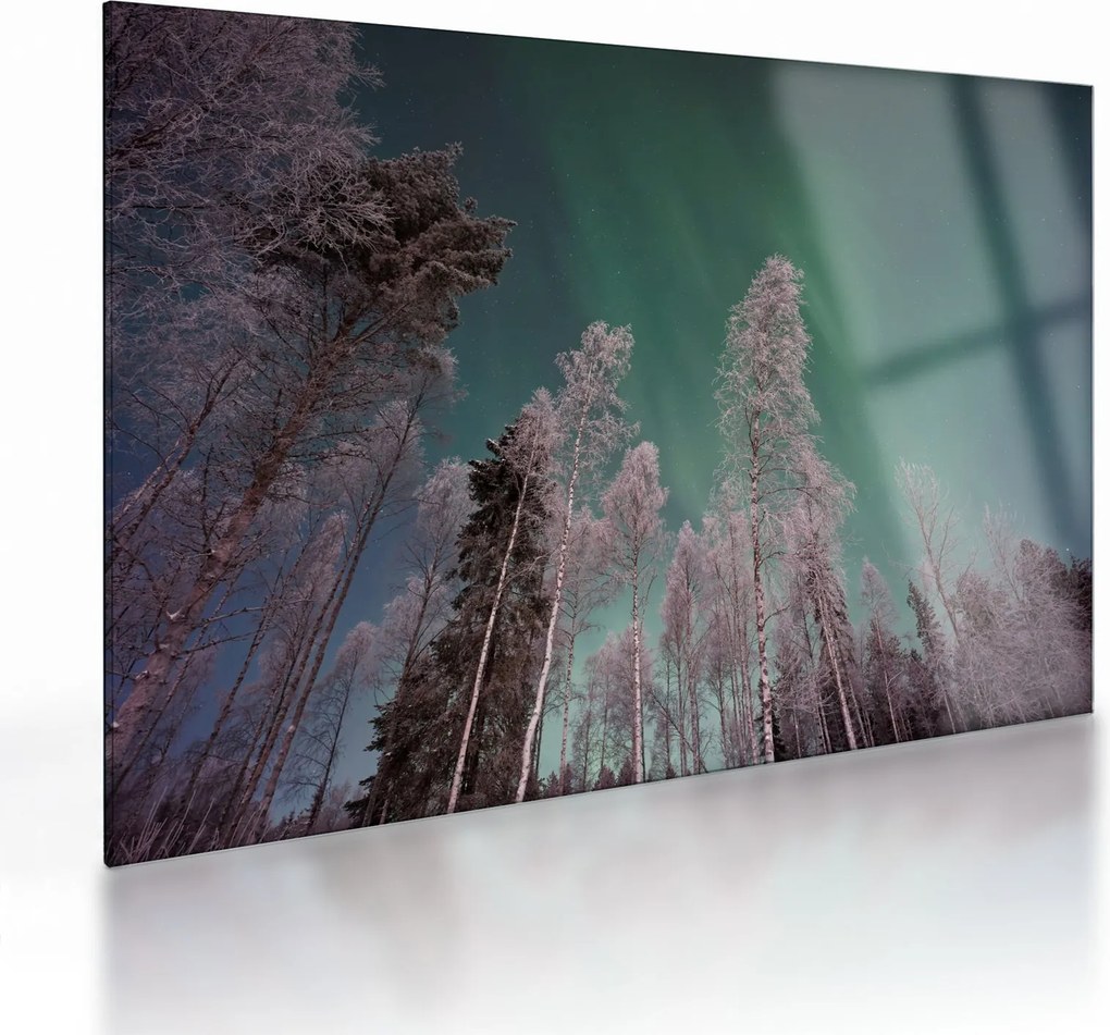 Obraz na szkle zorzy polarnej nad zamarzniętymi drzewami (70x50 cm)
