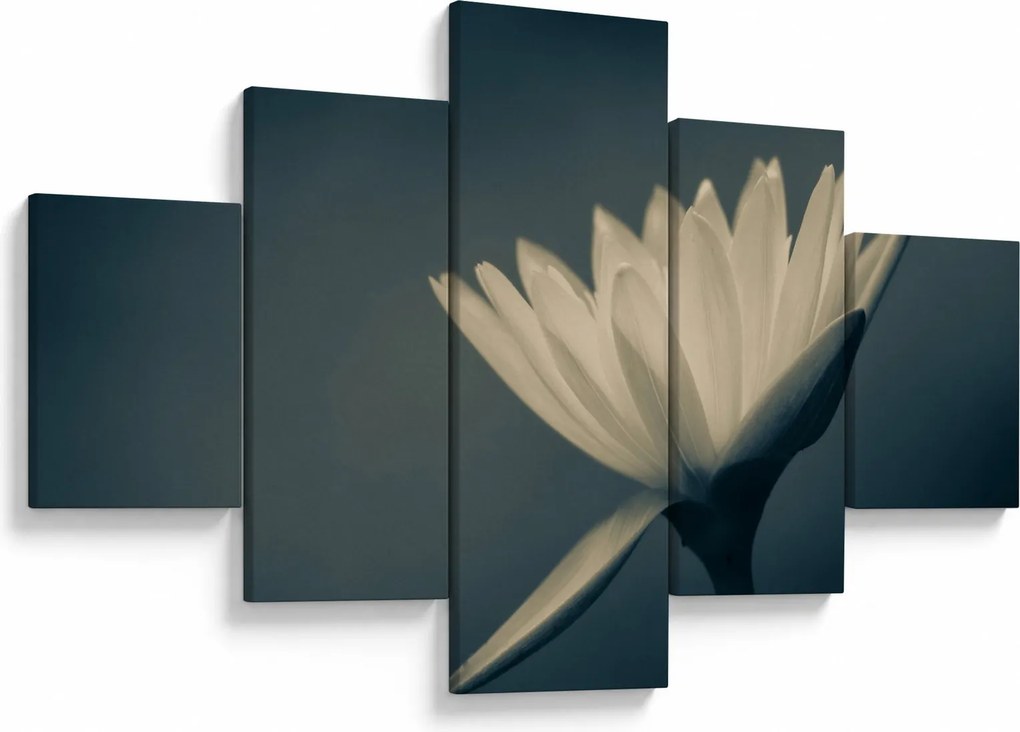 Obraz kwiatu (125x70 cm)
