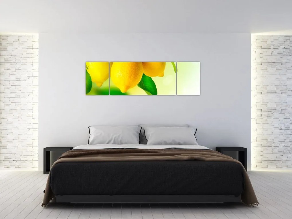Obraz cytryn (170x50 cm)