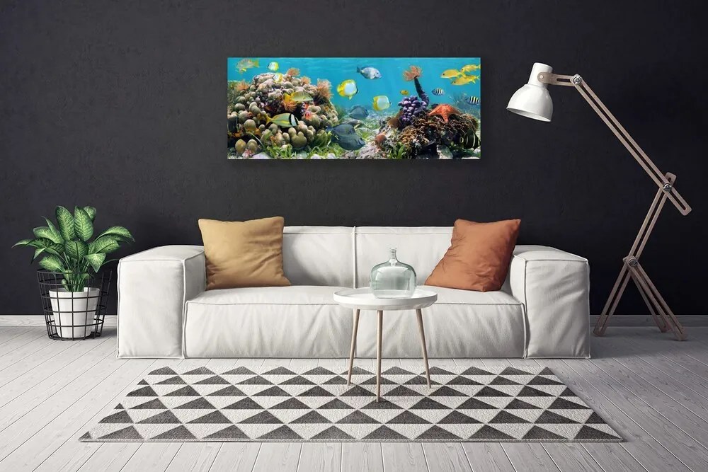 Obraz na płótnie Podwodny Świat Oceanu