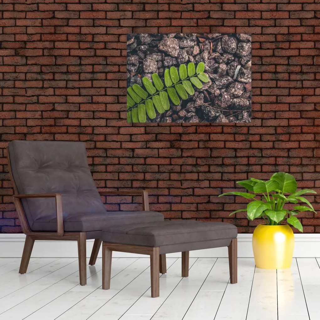 Obraz zielonej rośliny (70x50 cm)