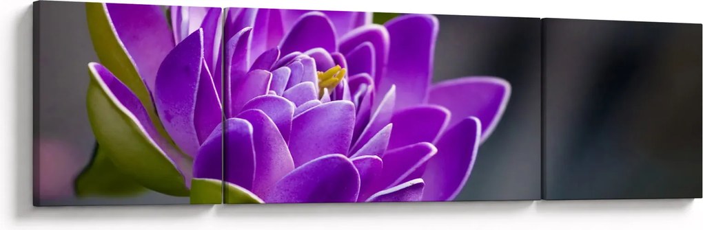 Obraz kwiatu (170x50 cm)