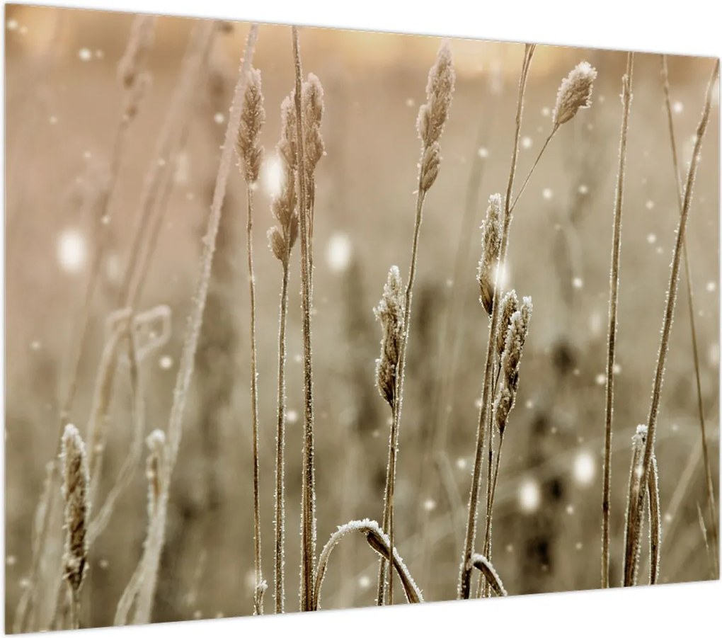 Obraz na szkle - Harmonious Meadow (70x50 cm)