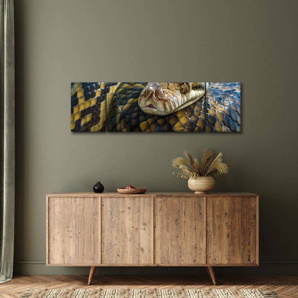 Obraz - Pyton (170x50 cm)