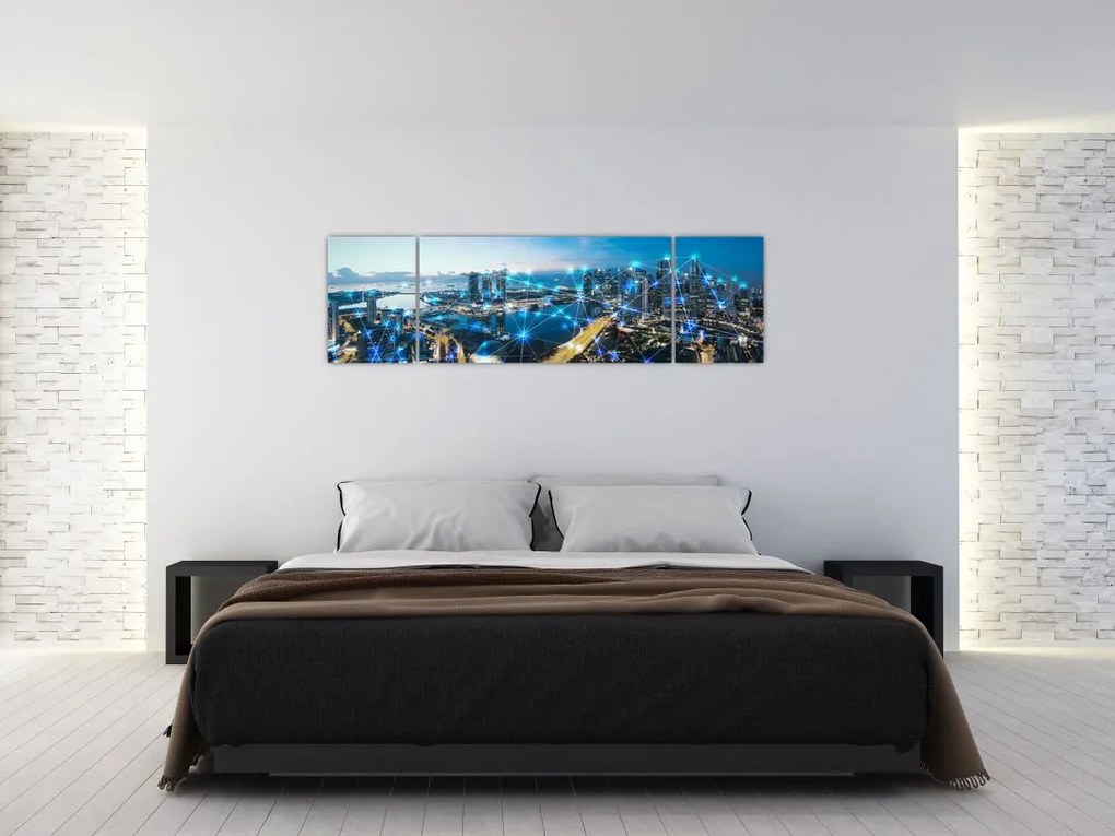 Obraz - Sieć miejska (170x50 cm)