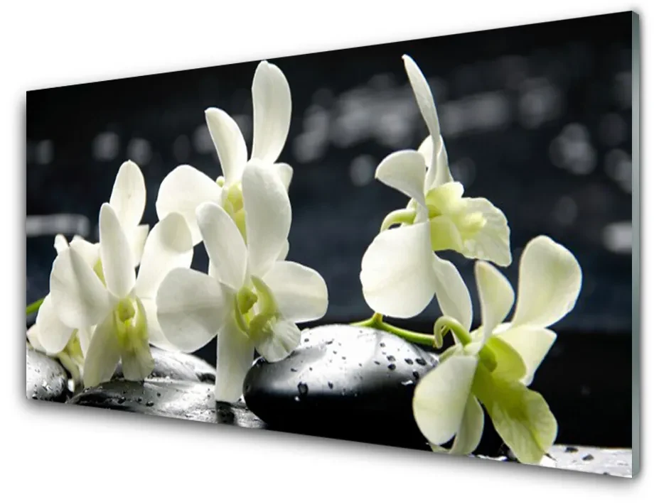 Obraz Szklany Kwiat Orchidea Roślina