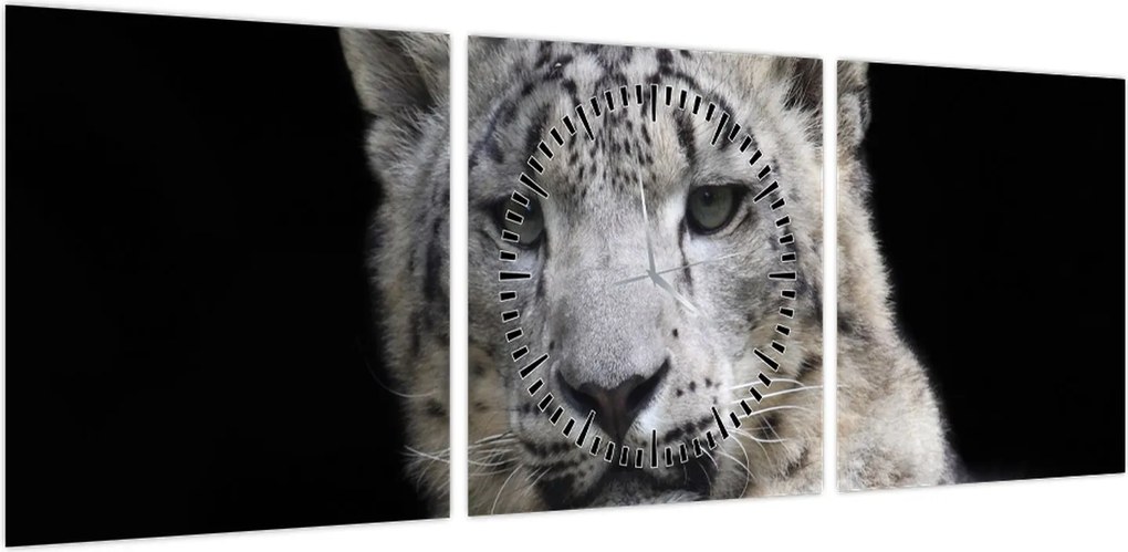 Obraz - Snow Leopard (z zegarem) (90x30 cm)