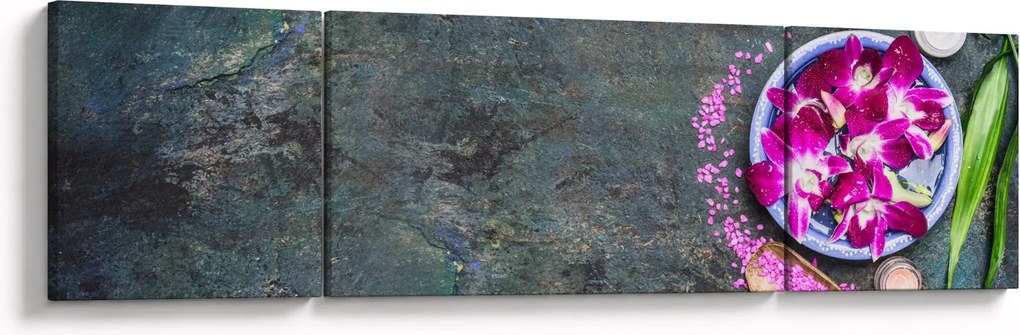 Obraz - Wellness (170x50 cm)