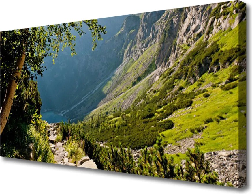 Zdjęcie na płótnie Dzika Natura w Górach