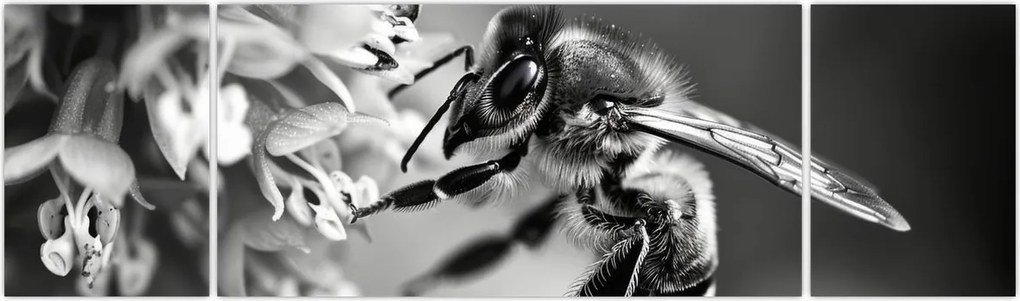 Obraz - Szczegół pszczoły (170x50 cm)