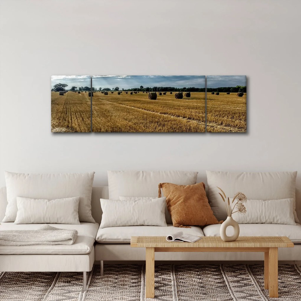 Obraz zebranego pola zboża (170x50 cm)
