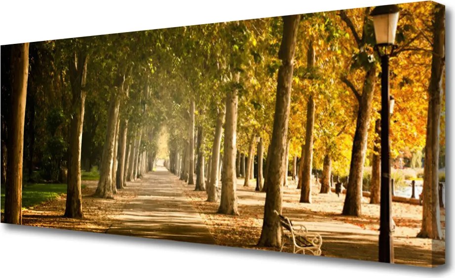 Obraz na płótnie Romantyczna Parkowa Alejka
