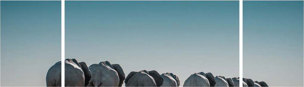 Obraz - Odejście słoni (170x50 cm)