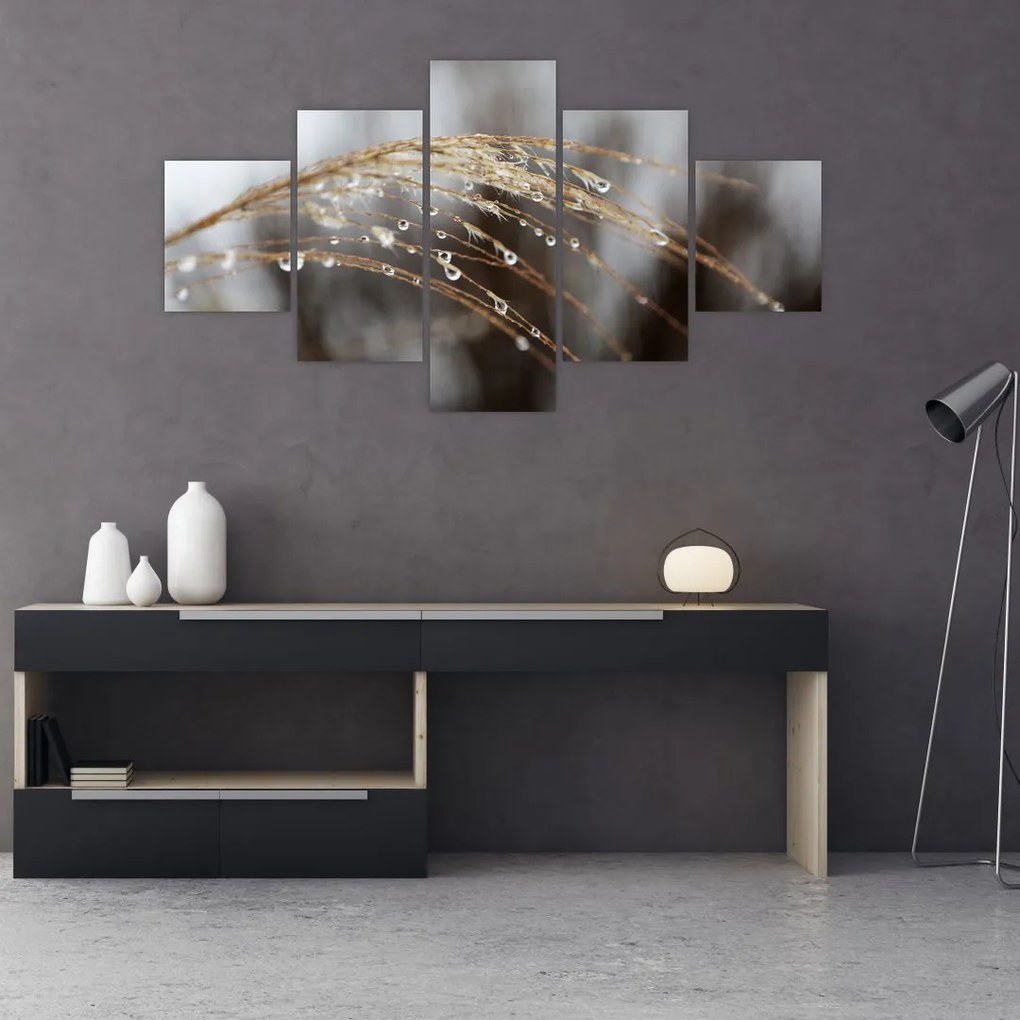 Obraz kropli na roślinie (125x70 cm)
