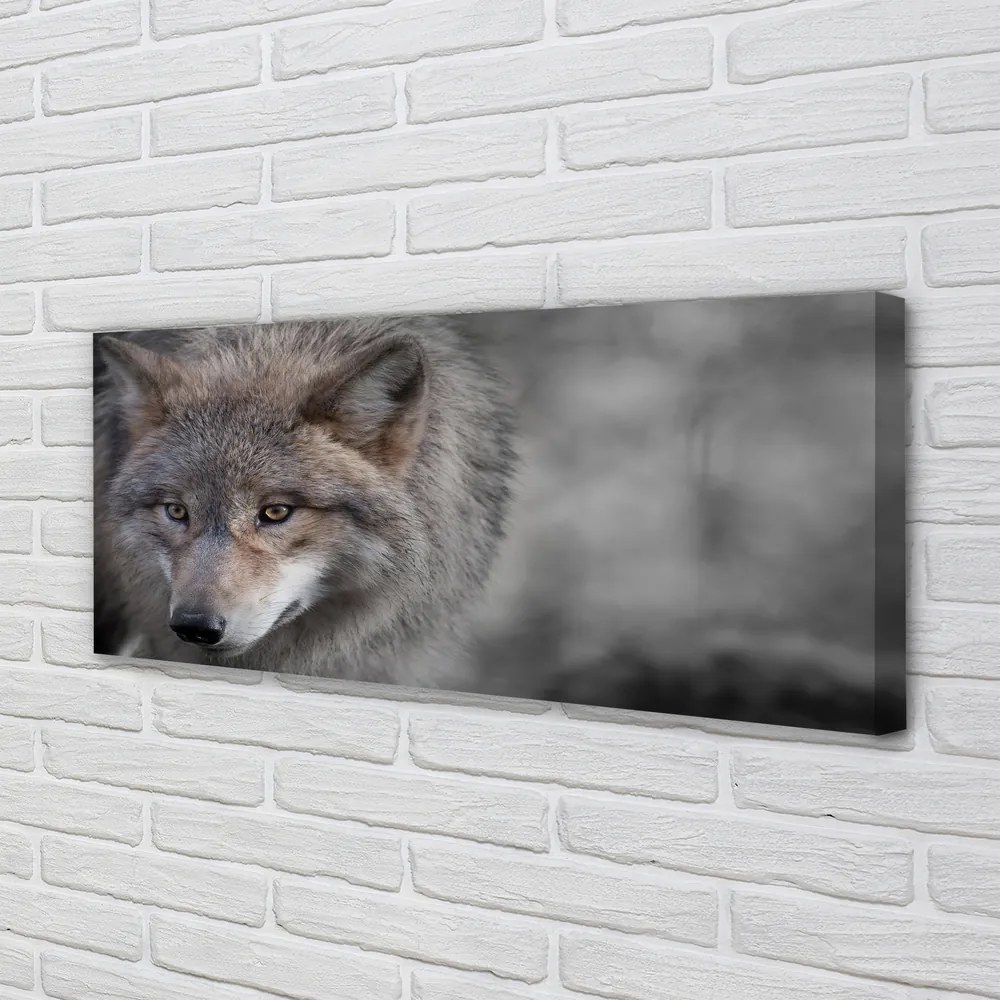 Obraz na płótnie Portret Wilka
