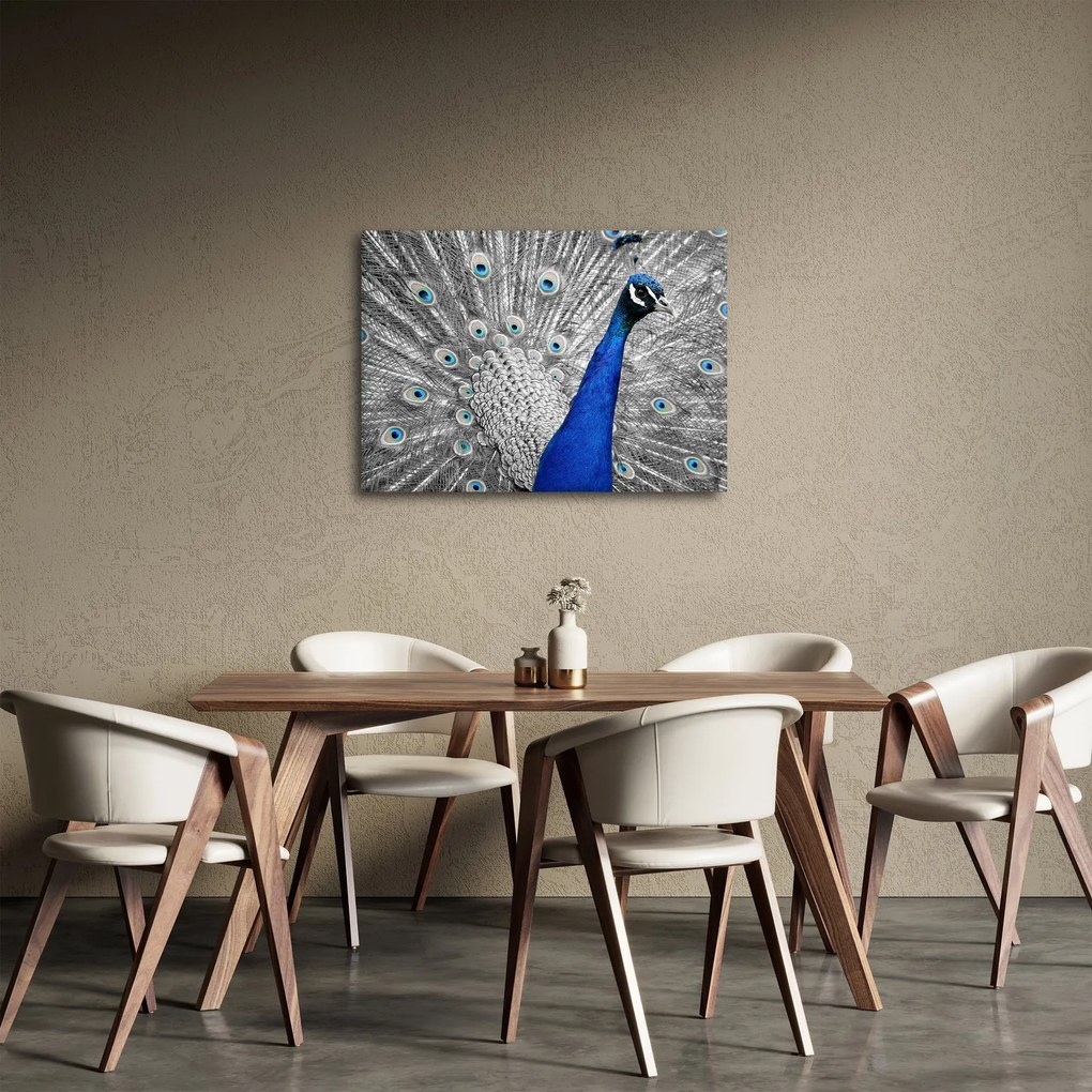 Obraz - niebieski paw (70x50 cm)