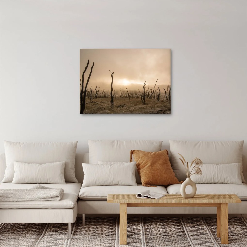 Obraz - Nagie drzewa (70x50 cm)