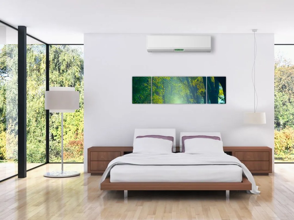Obraz drogi wysadzanej drzewami (170x50 cm)