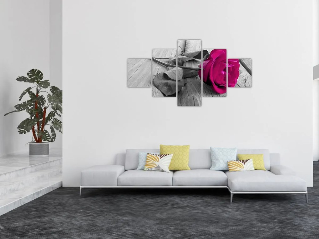 Obraz - Różowa róża (125x70 cm)