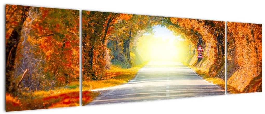 Obraz - Brama wykonana z koron drzew (170x50 cm)