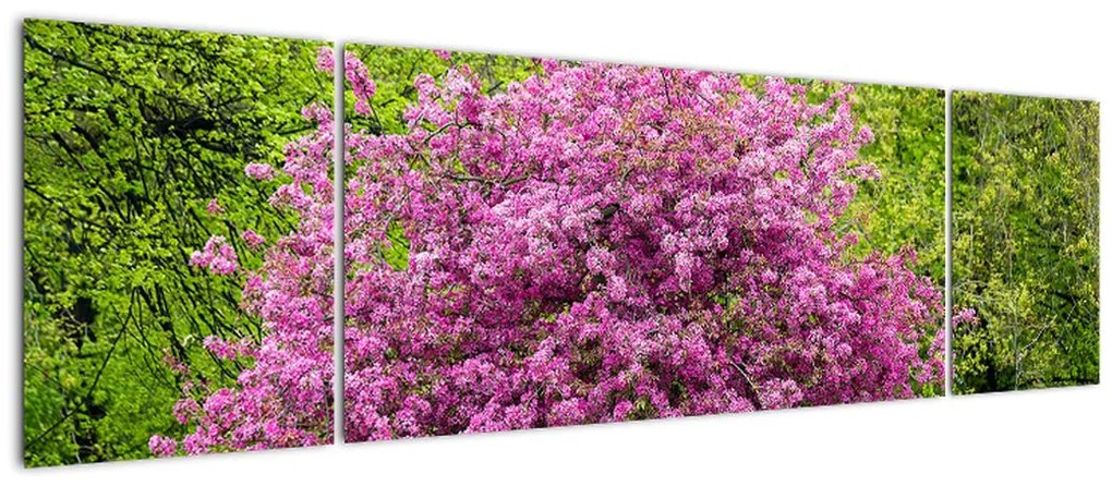 Obraz kwitnącego drzewa na łące (170x50 cm)