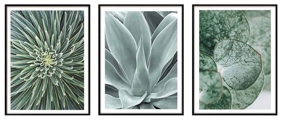 Obrazy zestaw 3 szt. 30x40 cm – knor