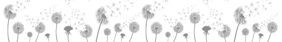 Naklejka na okno 200x40 cm Dandelions – Ambiance