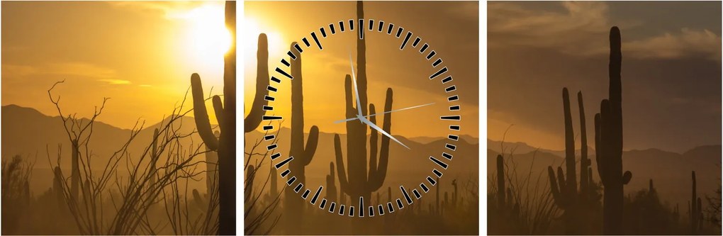 Obraz - Kaktusy Saguaro (z zegarem) (90x30 cm)