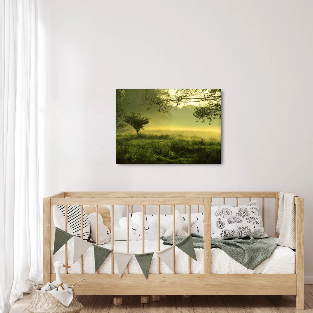 Obraz - Budzący się las (70x50 cm)