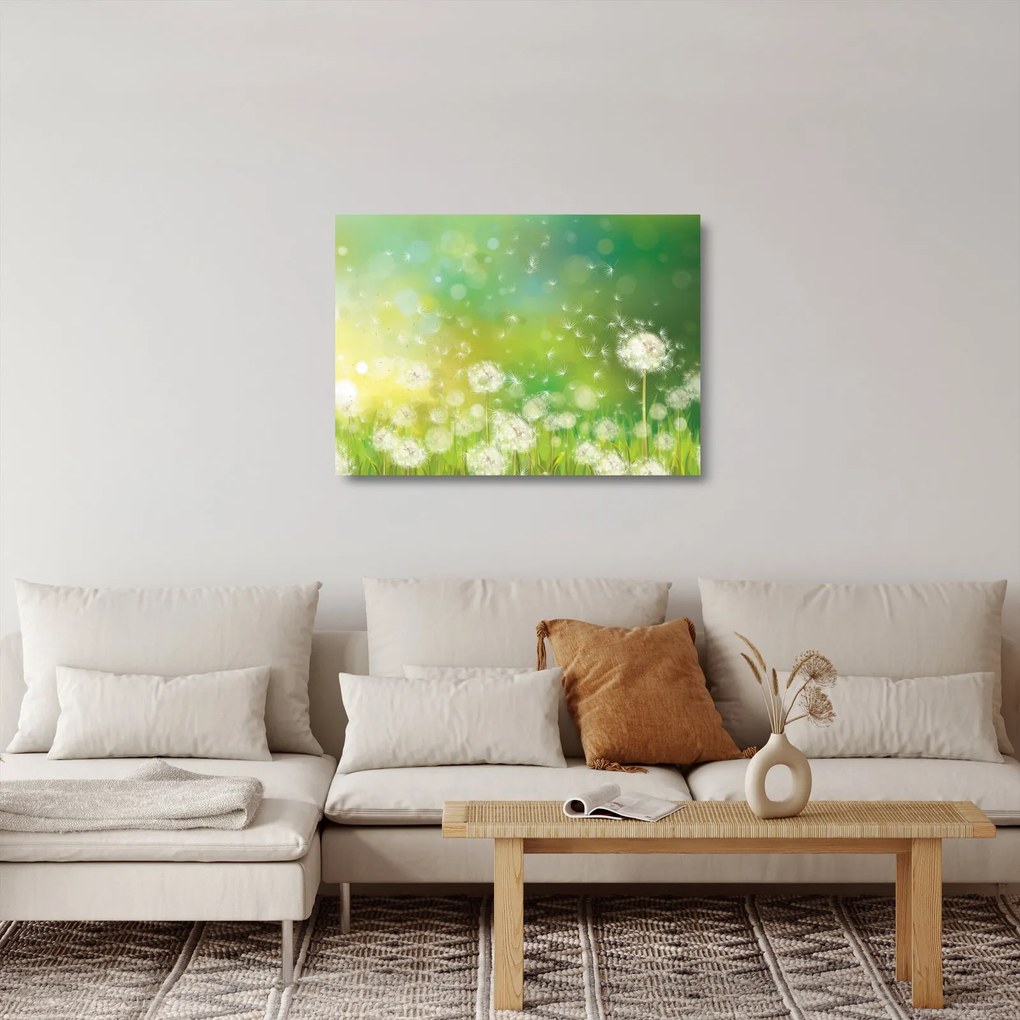 Obraz na szkle - Kwitnące mlecze (70x50 cm)