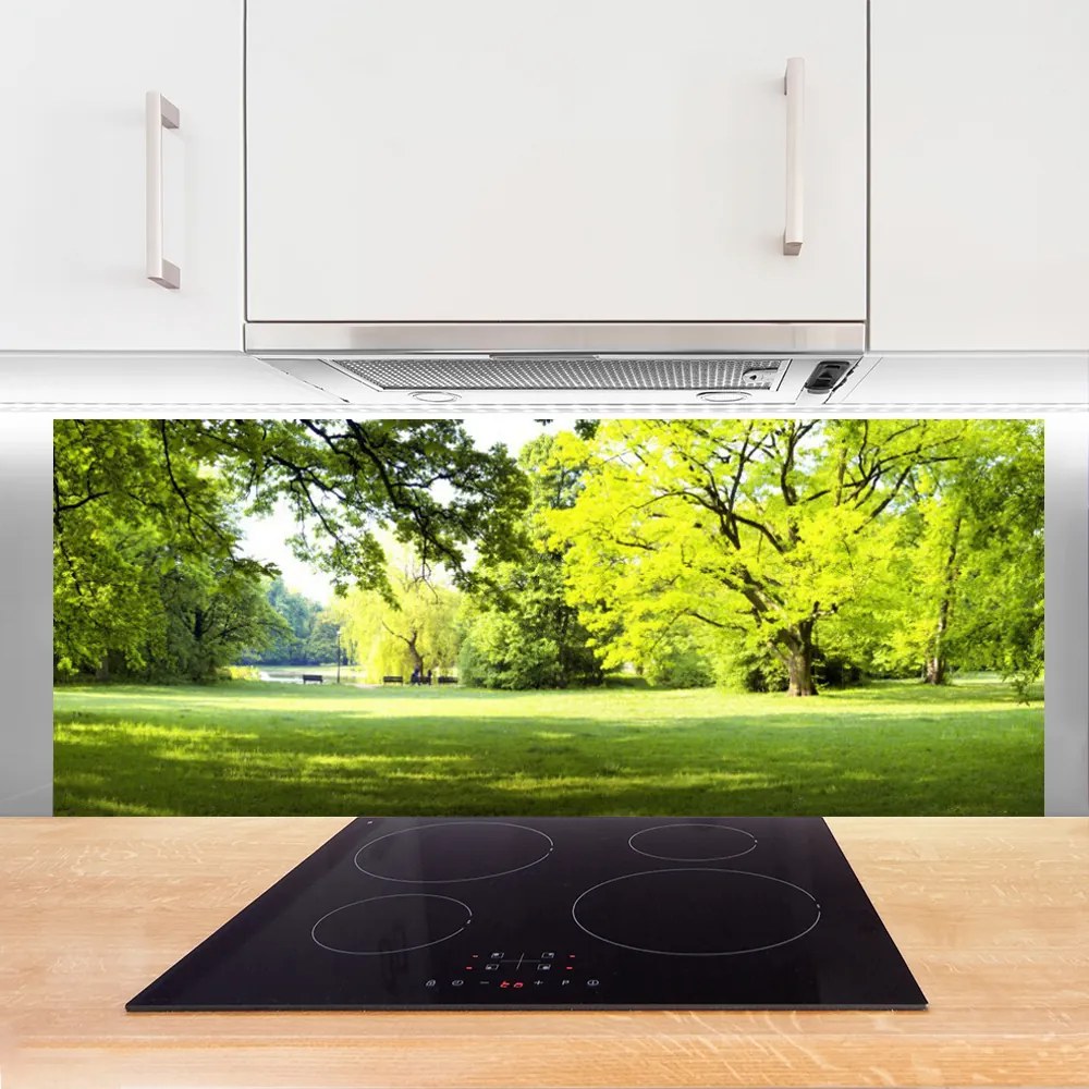 Panel Szklany Parkowa Aleja w Słońcu