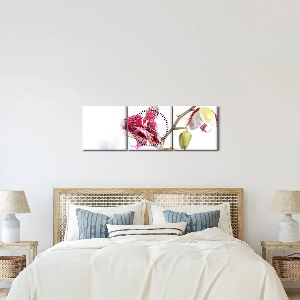 Obraz kwiatu orchidei (z zegarem) (90x30 cm)