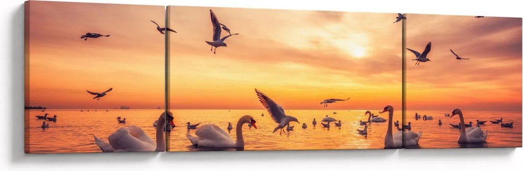Obraz - Łabędzie (170x50 cm)