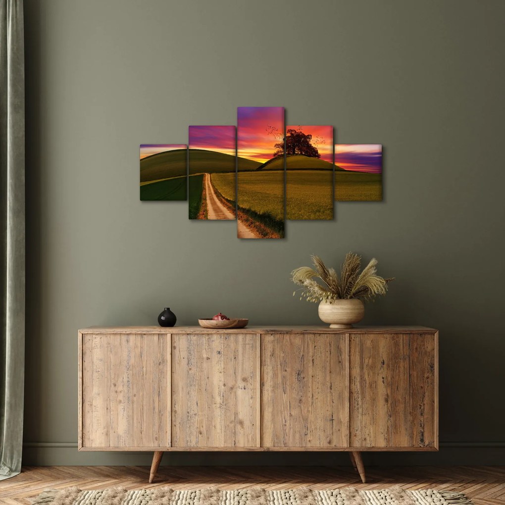 Obraz pola i kolorowego nieba (125x70 cm)