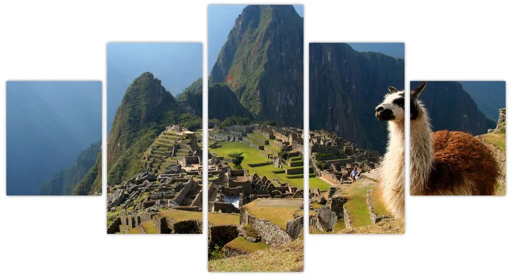 Obraz - Lama i Machu Picchu (125x70 cm)
