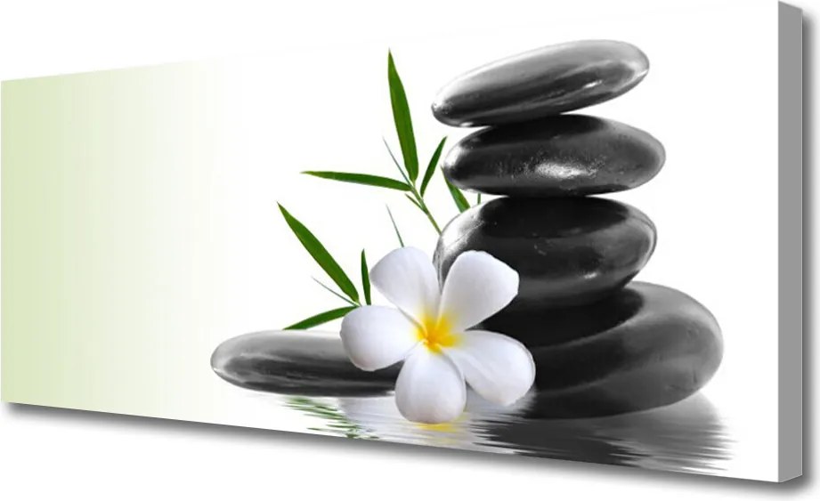 Obraz drukowany na płótnie Kwiatowa Kompozycja na Kamieniach