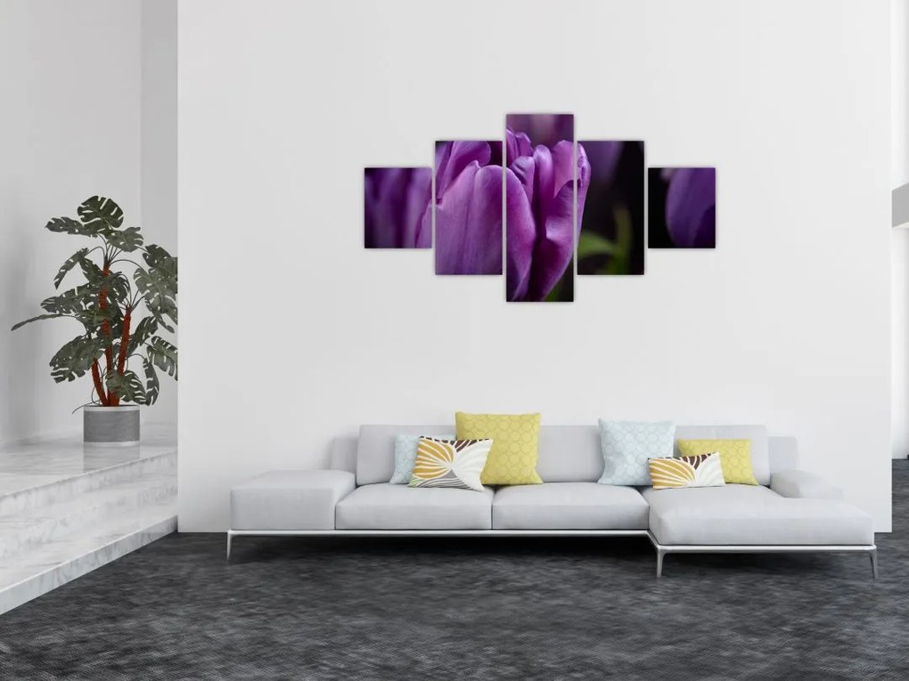 Obraz kwiatów tulipanów (125x70 cm)