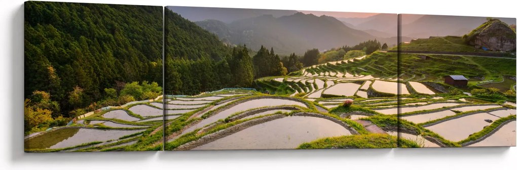 Obraz - Tarasy ryżowe (170x50 cm)