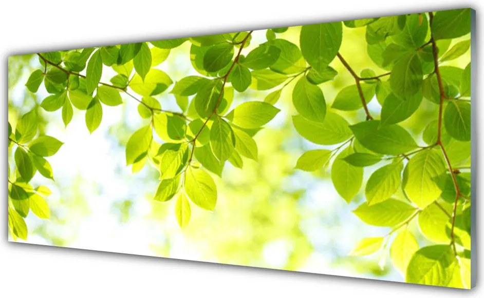 Szkło do Kuchni na Ścianę Świeże Zielone Liście